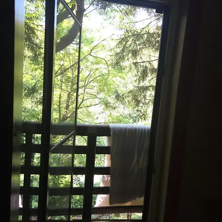 Haus Im Wald