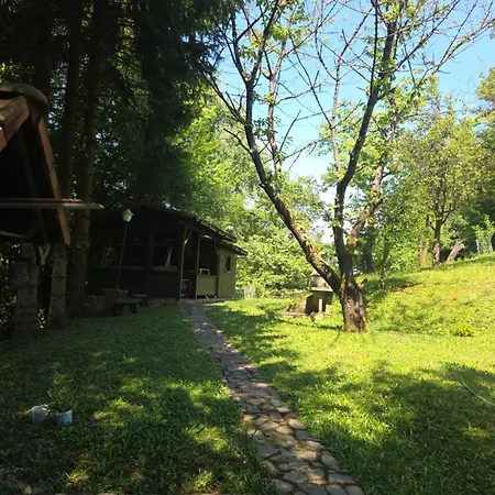 Hébergement de vacances Haus Im Wald Loka pri Zusmu