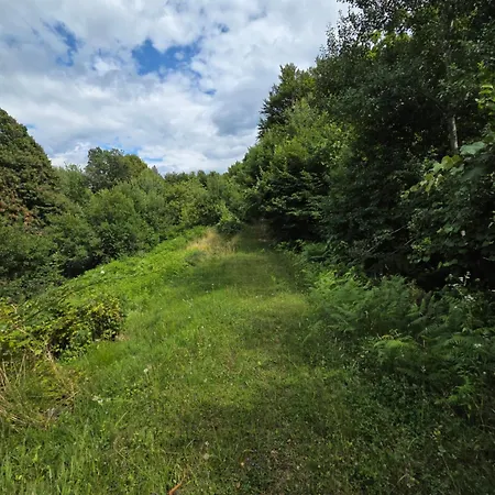 Haus Im Wald Hébergement de vacances *