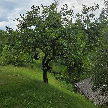 Hébergement de vacances Haus Im Wald Loka pri Zusmu