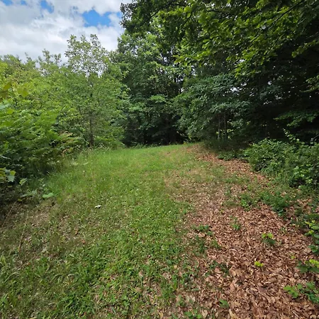 Haus Im Wald Loka pri Zusmu