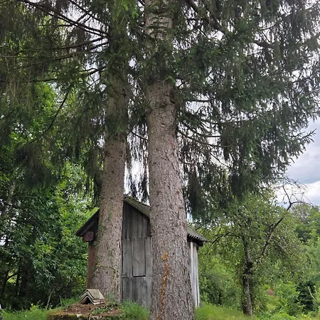 Hébergement de vacances Haus Im Wald *