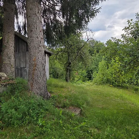 Haus Im Wald *