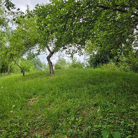 Hébergement de vacances Haus Im Wald Loka pri Zusmu