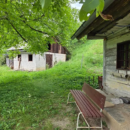 Haus Im Wald Hébergement de vacances Loka pri Zusmu