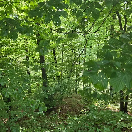 Haus Im Wald Hébergement de vacances