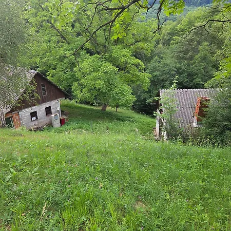 Hébergement de vacances Haus Im Wald *