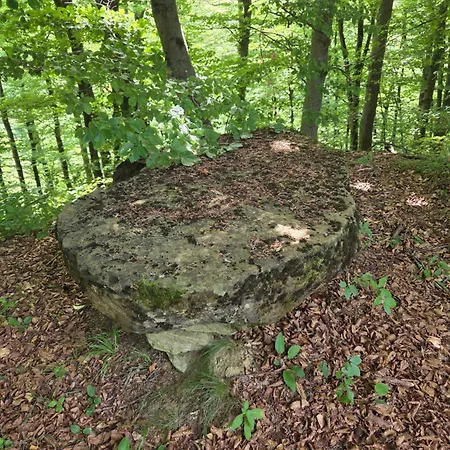 Hébergement de vacances Haus Im Wald