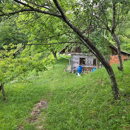 Haus Im Wald *